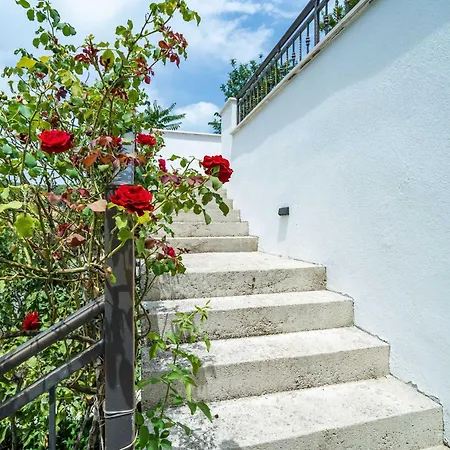 Apartment Hidden Gem - Two Bedroom With Terrace And Sea View Molunat